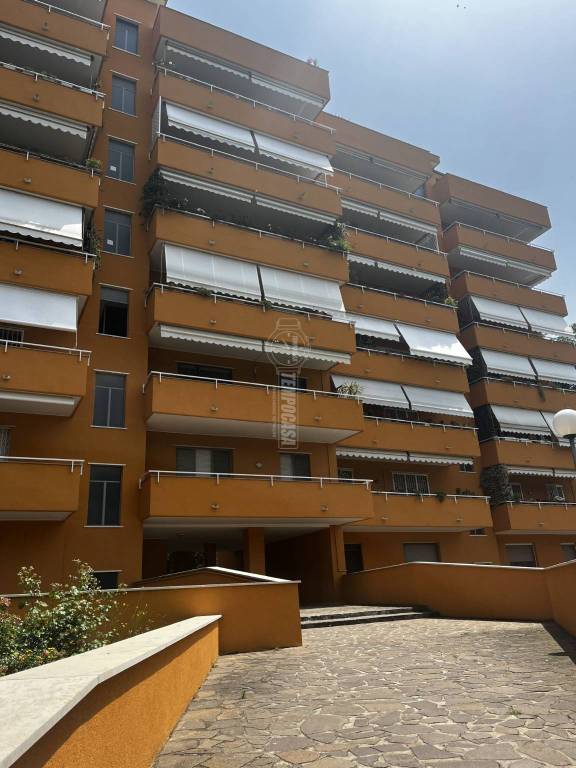 immagine annuncio 1 di 6