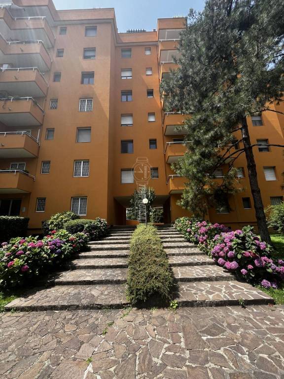 immagine annuncio 2 di 6