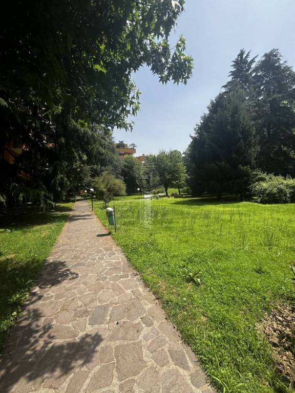 immagine annuncio 3 di 6