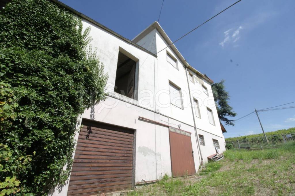 immagine annuncio 7 di 13