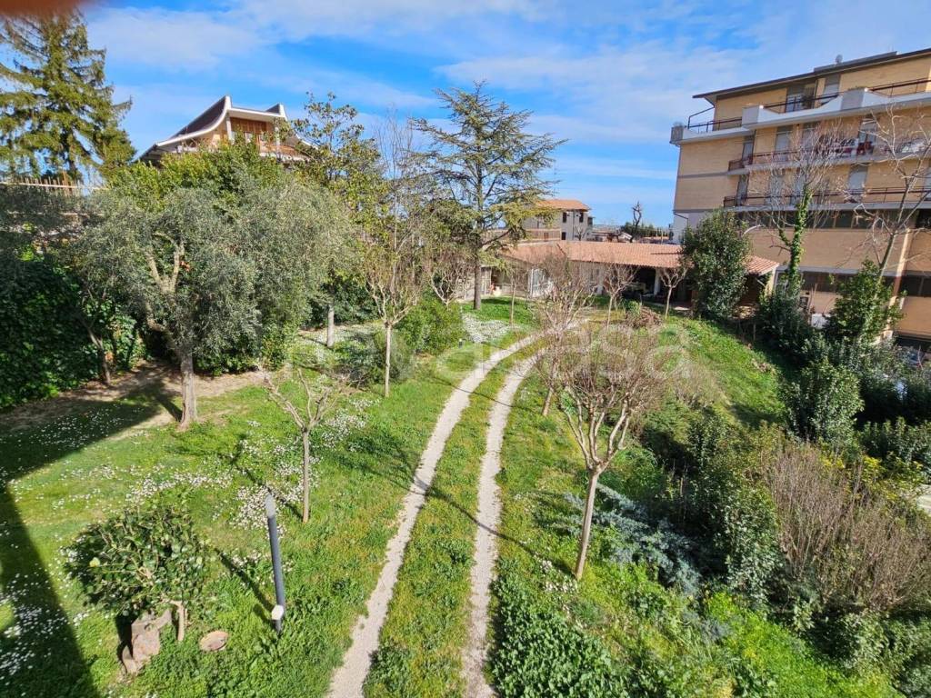 immagine annuncio 6 di 14