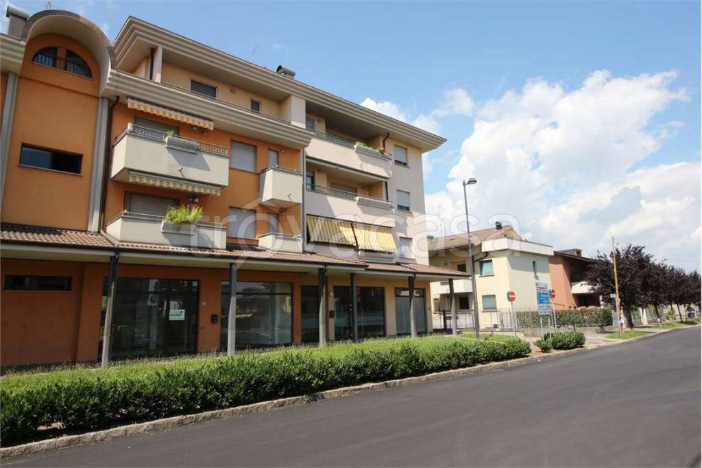 immagine annuncio 1 di 12