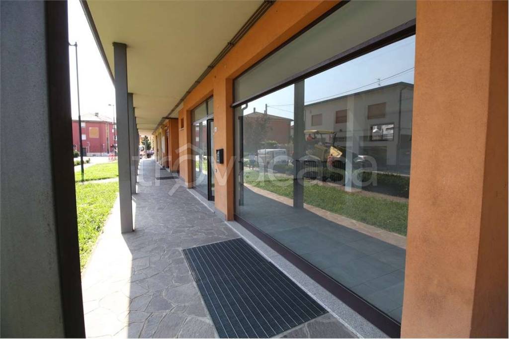 immagine annuncio 3 di 12