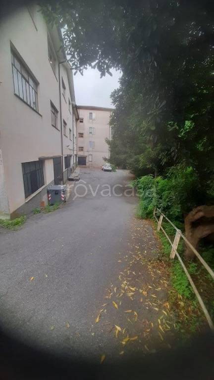 immagine annuncio 7 di 12