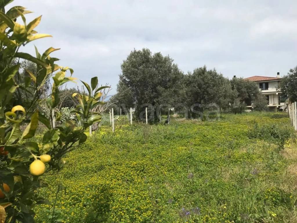 immagine annuncio 1 di 2