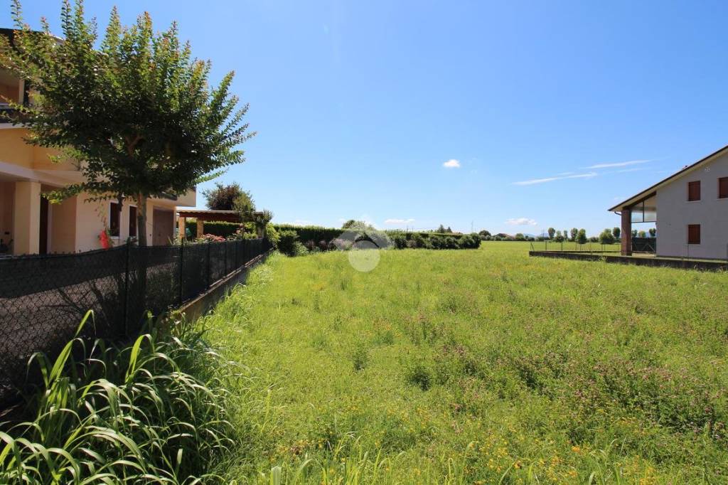 immagine annuncio 3 di 11