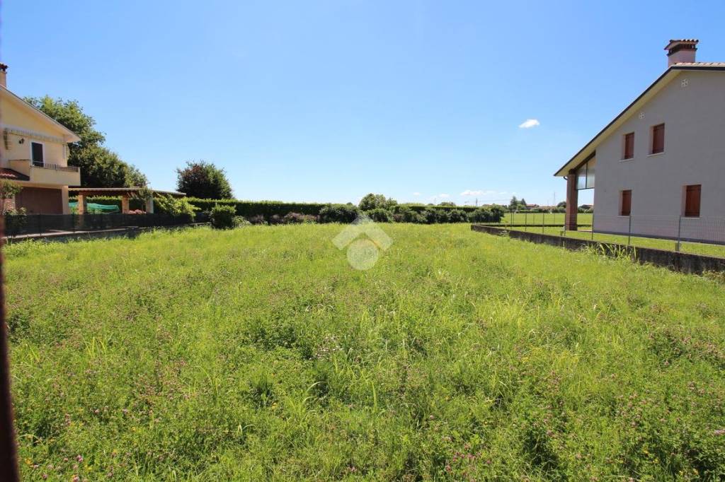 immagine annuncio 5 di 11