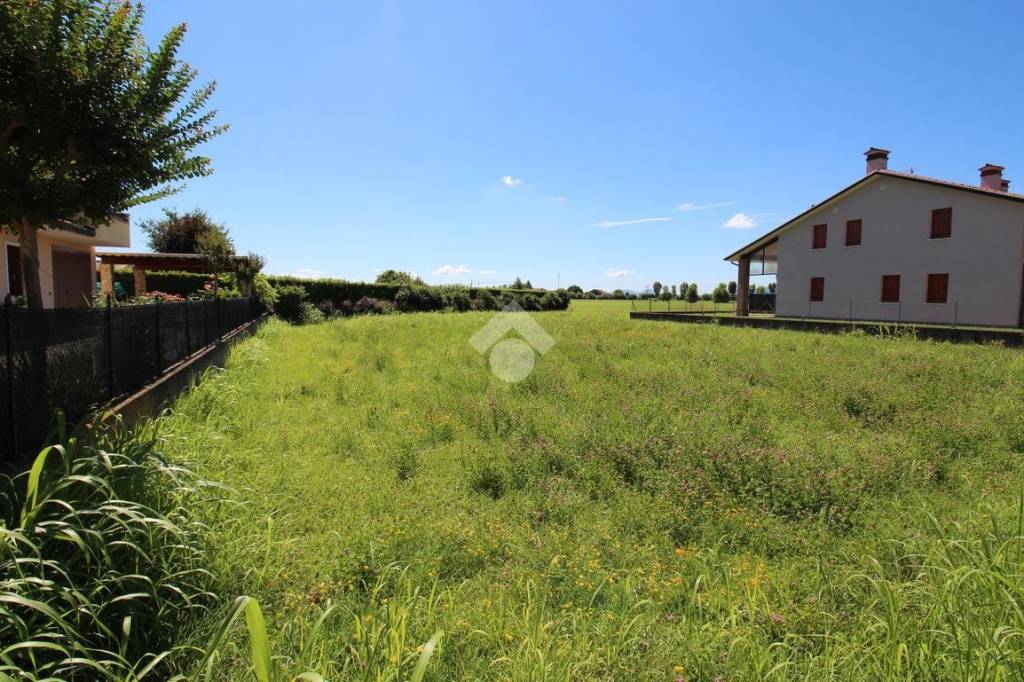 immagine annuncio 6 di 11