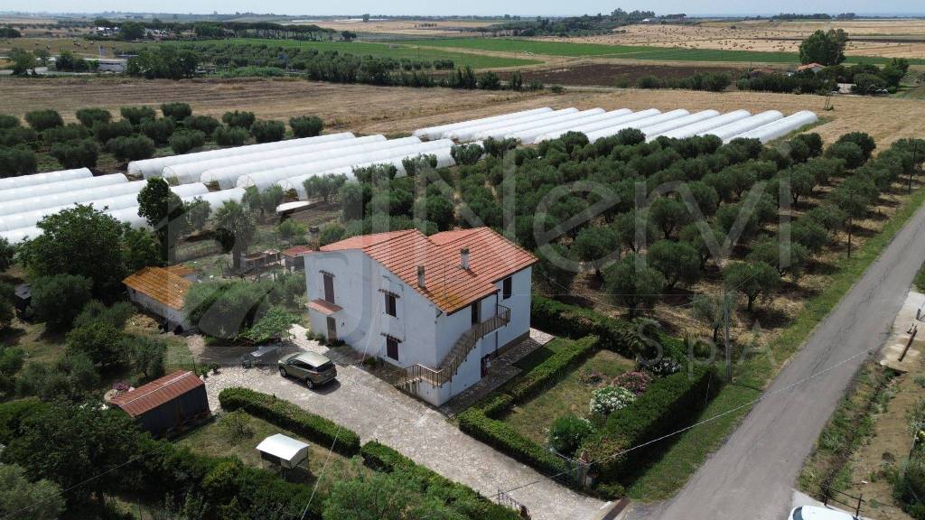 immagine annuncio 2 di 8