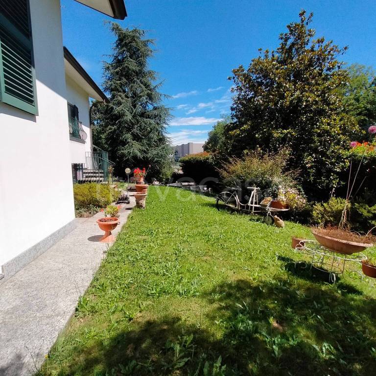 immagine annuncio 5 di 15