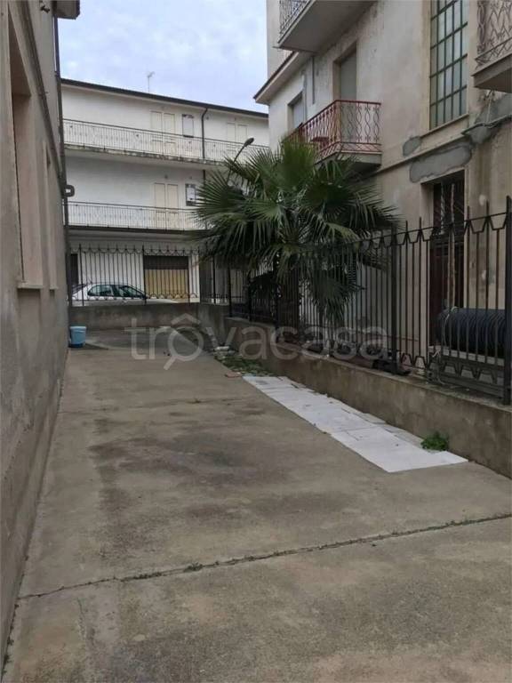 immagine annuncio 10 di 12