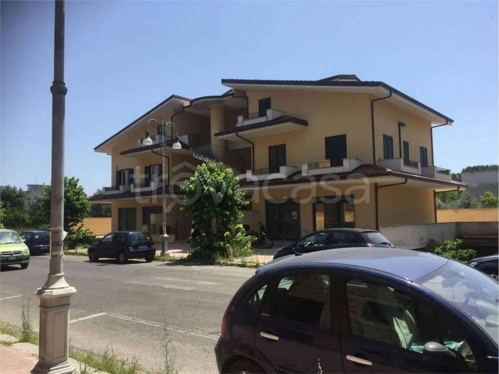 immagine annuncio 1 di 3