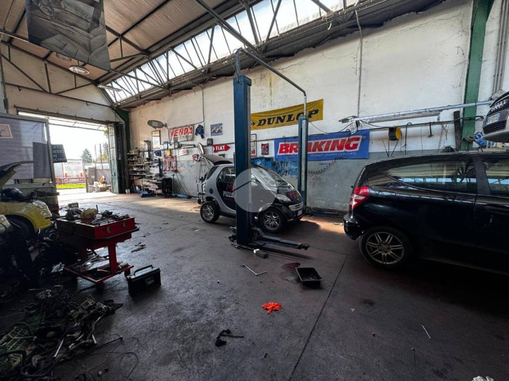 immagine annuncio 3 di 15