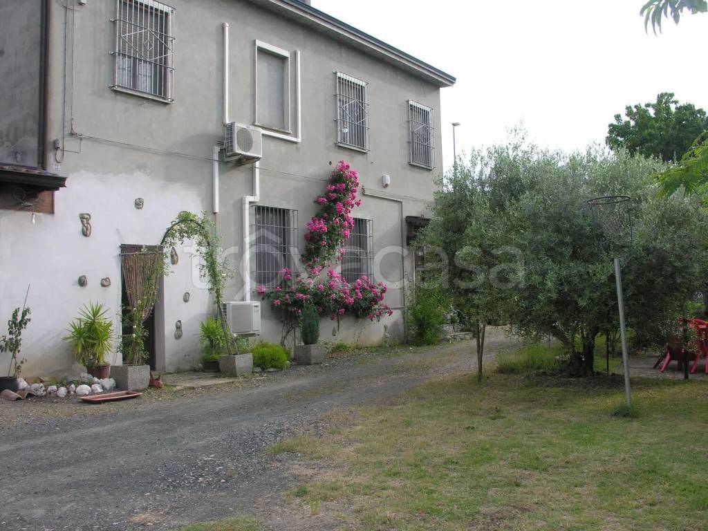 immagine annuncio 3 di 12