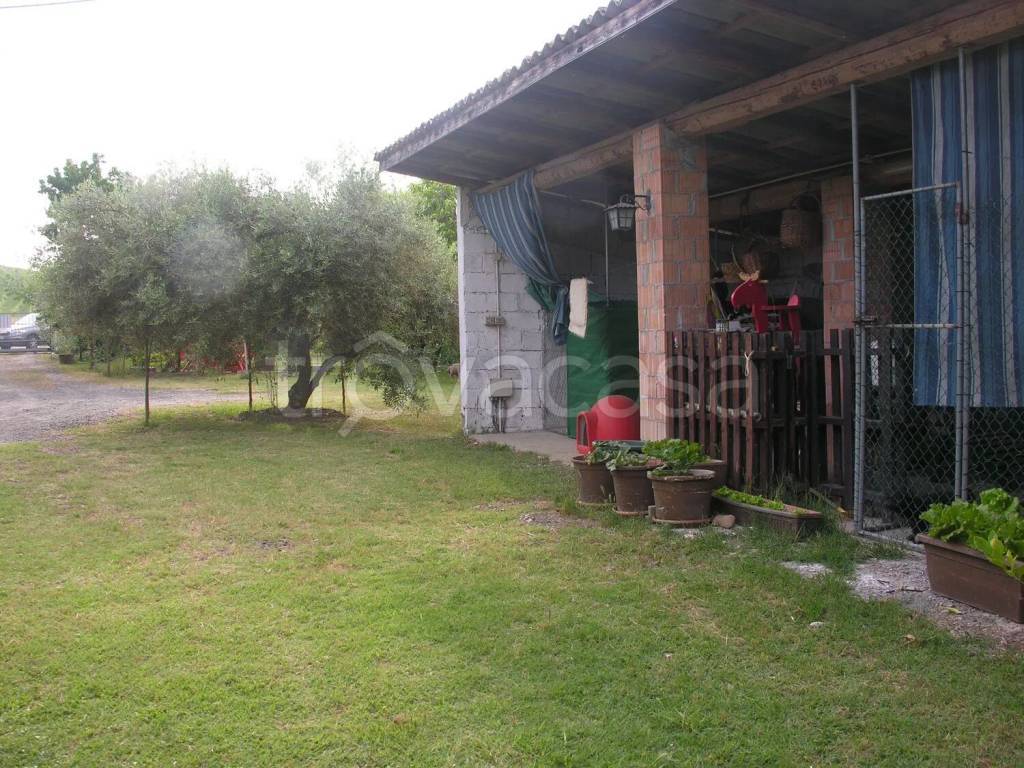 immagine annuncio 4 di 12