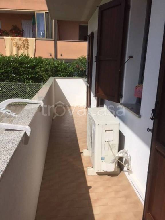 immagine annuncio 10 di 14