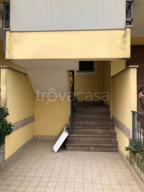 immagine annuncio 11 di 14