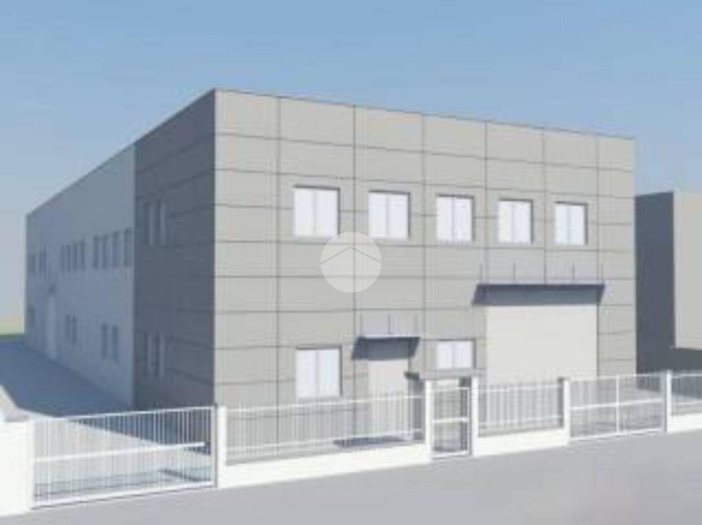 immagine annuncio 8 di 11