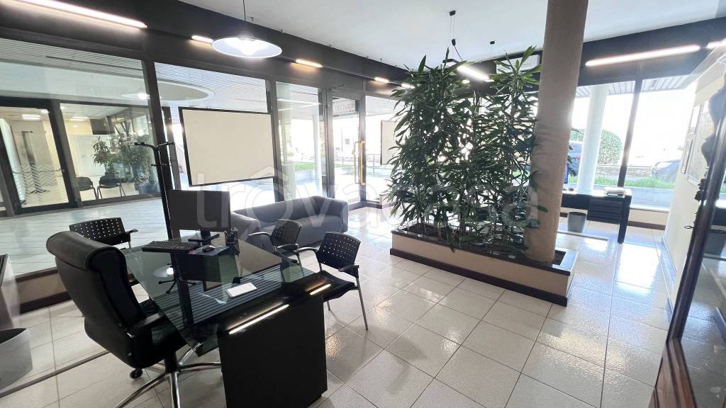 immagine annuncio 9 di 11