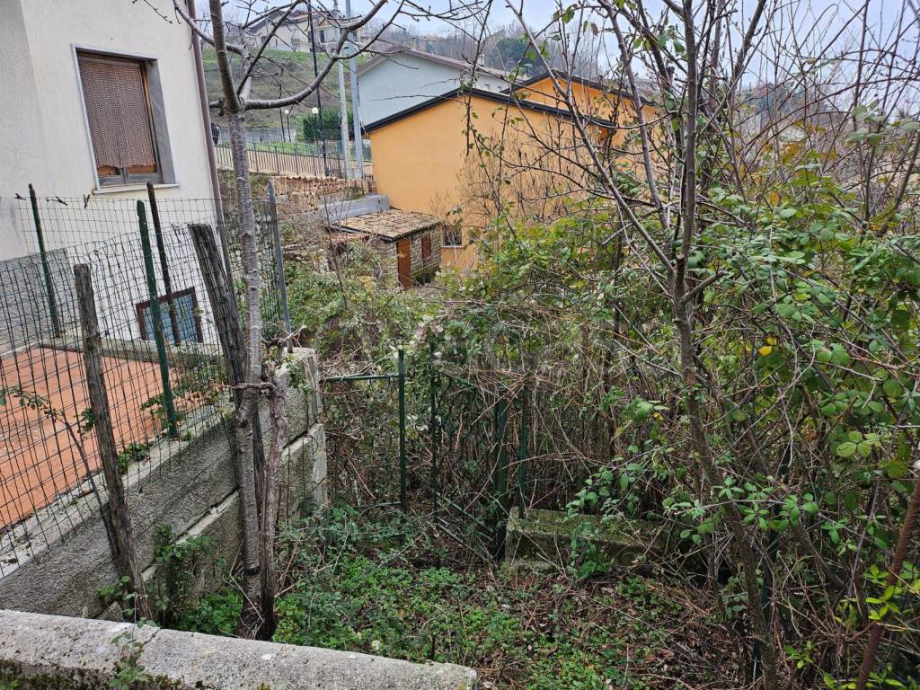 immagine annuncio 9 di 12