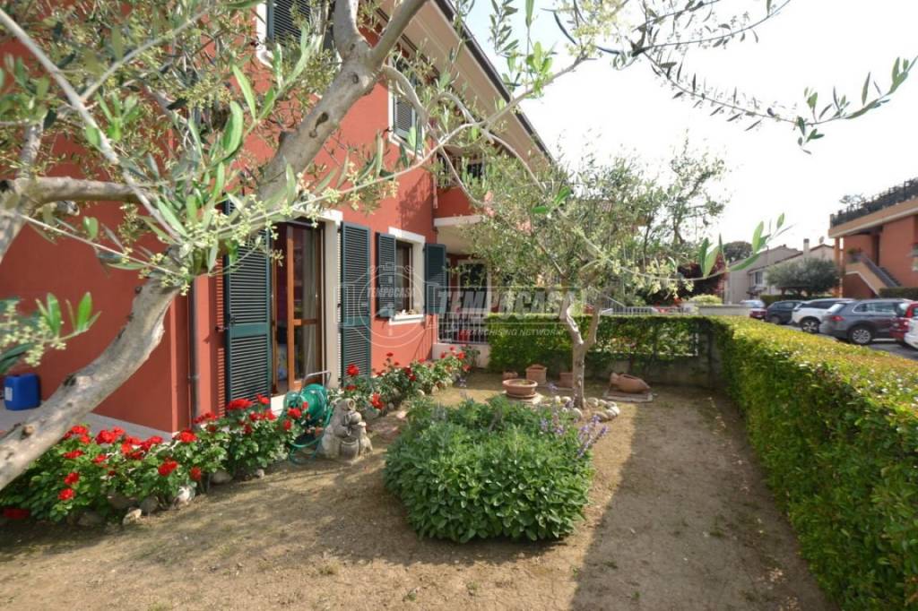 immagine annuncio 7 di 15
