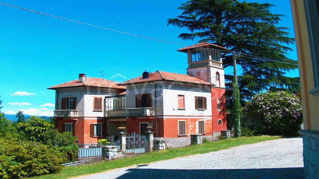 immagine annuncio 1 di 12