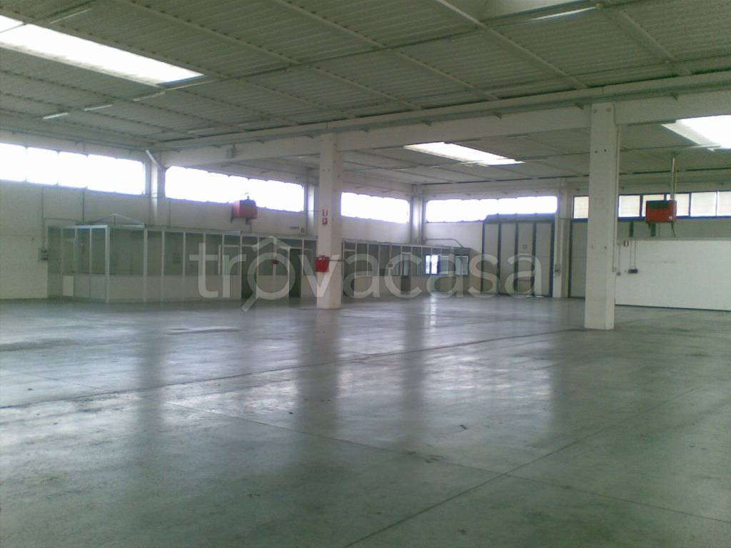 immagine annuncio 4 di 12
