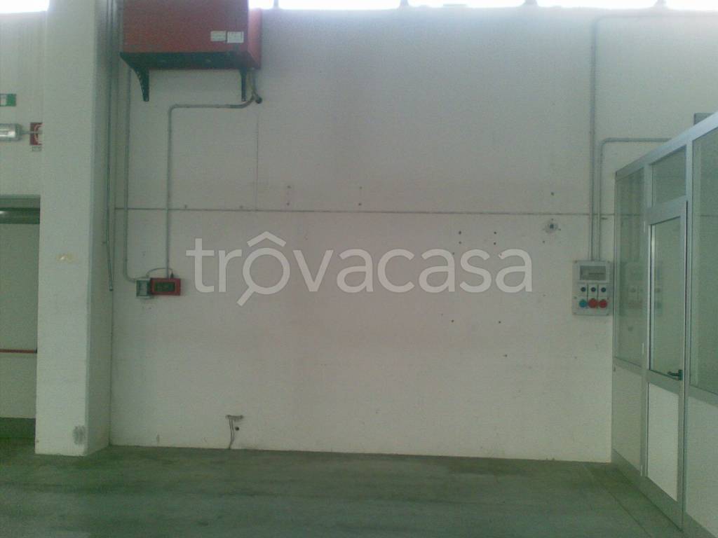 immagine annuncio 6 di 12