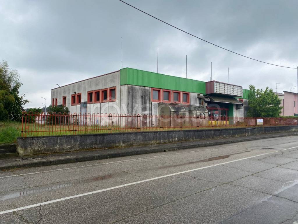 immagine annuncio 4 di 14