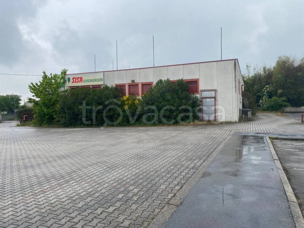 immagine annuncio 5 di 14