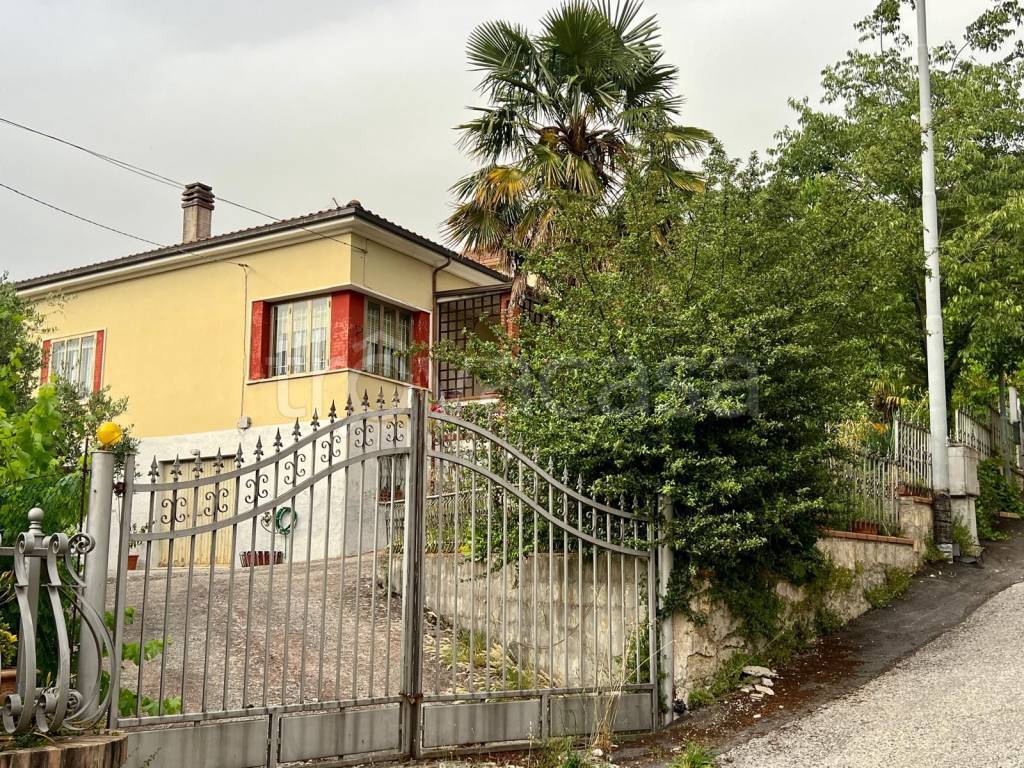 immagine annuncio 3 di 14