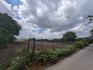 Terreno agricolo in vendita a poggiomarino 