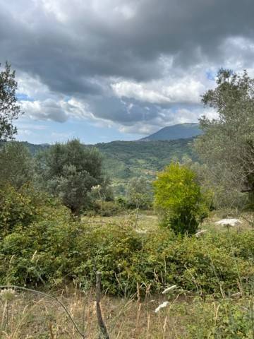 immagine annuncio 6 di 8