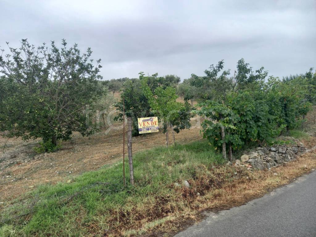immagine annuncio 6 di 8