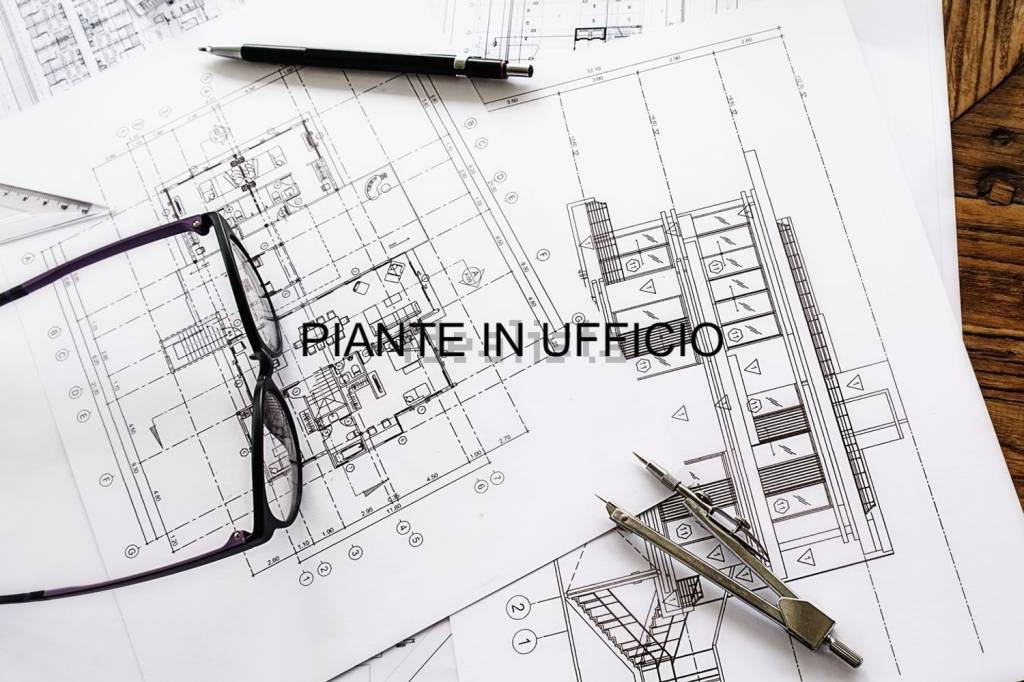 immagine annuncio 4 di 6