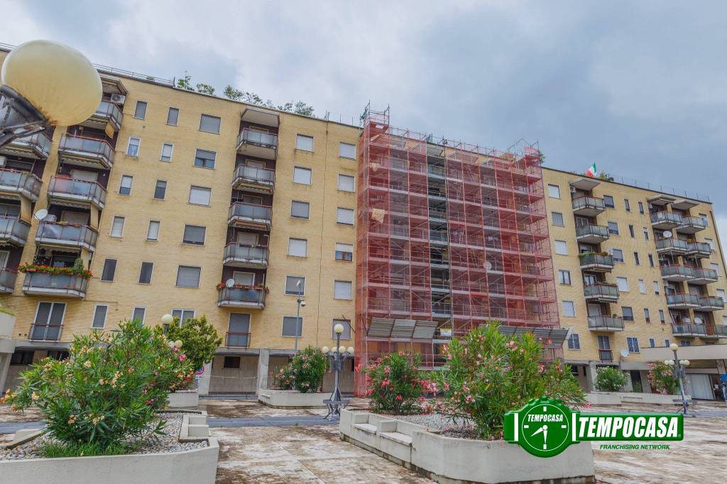 immagine annuncio 12 di 13