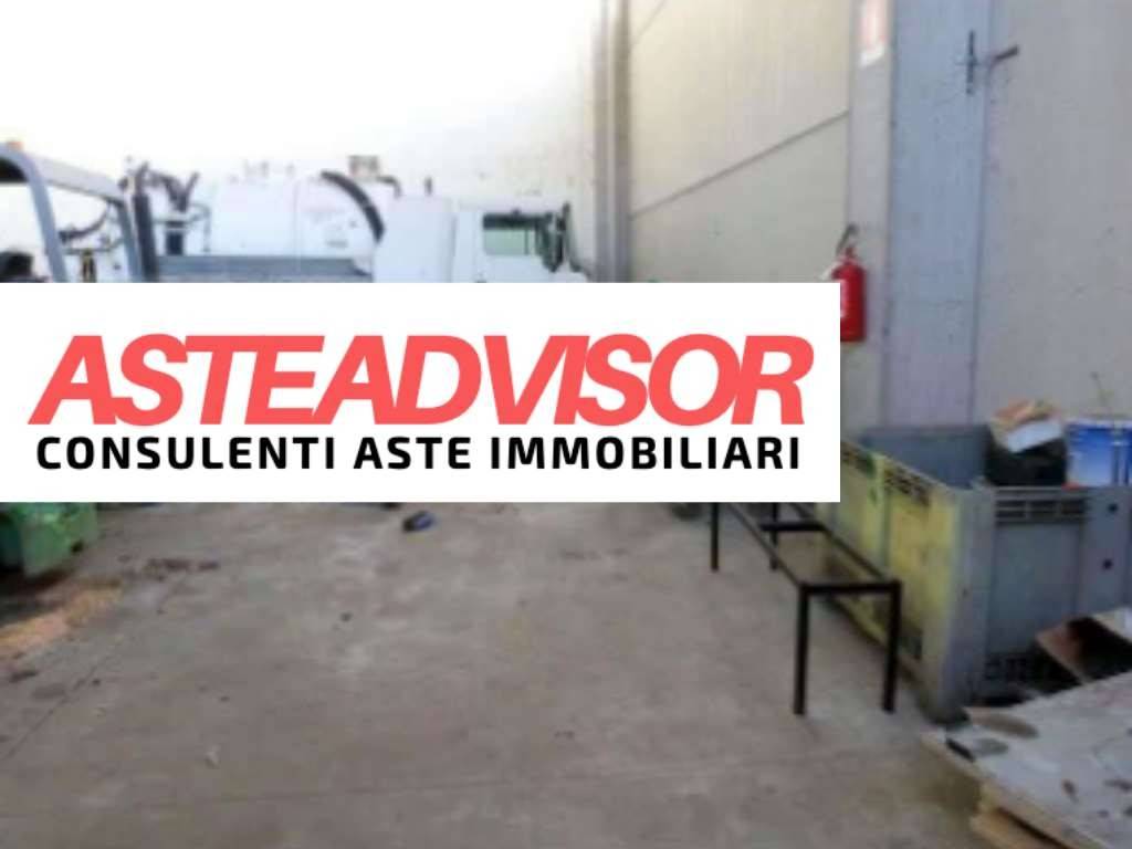 immagine annuncio 11 di 14