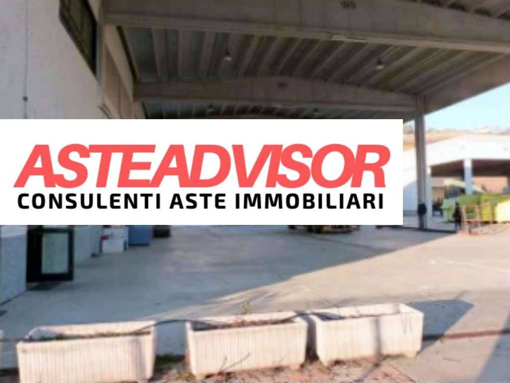 immagine annuncio 12 di 14