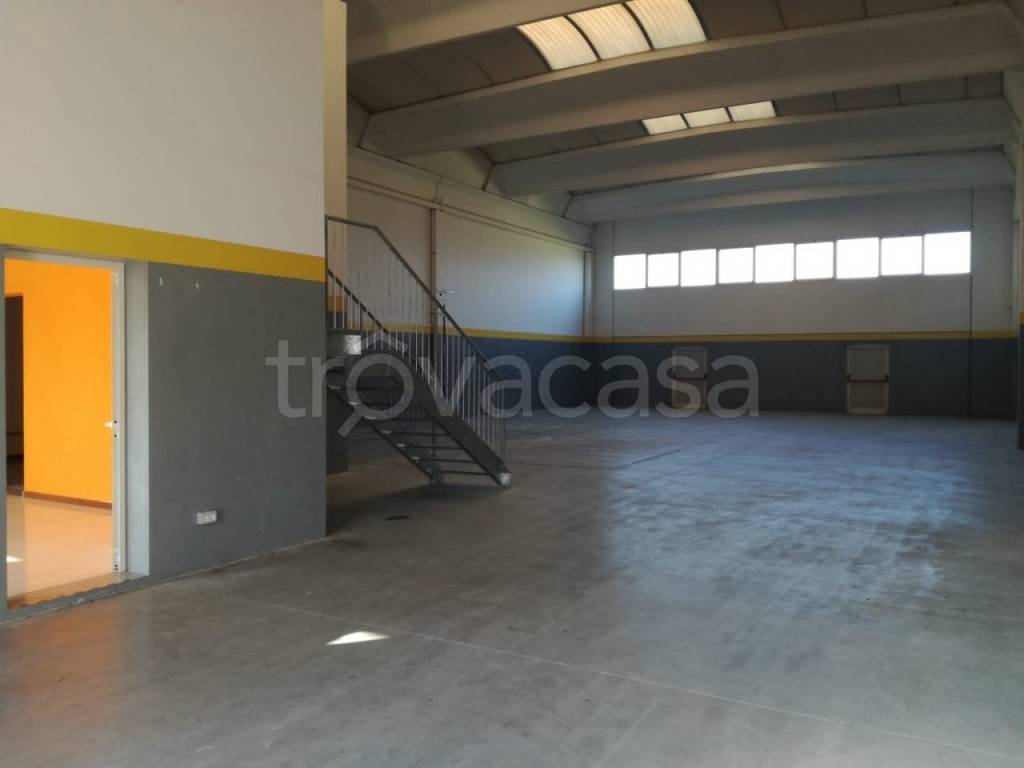 immagine annuncio 2 di 14