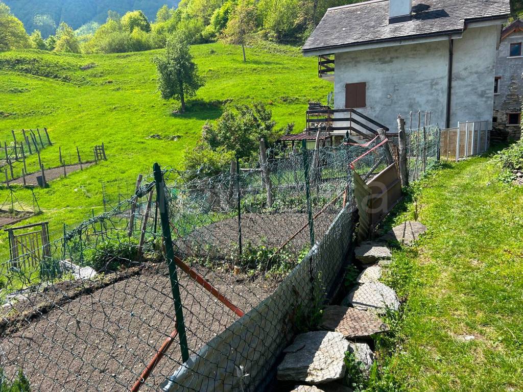 immagine annuncio 4 di 6