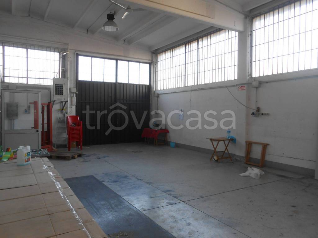 immagine annuncio 9 di 15