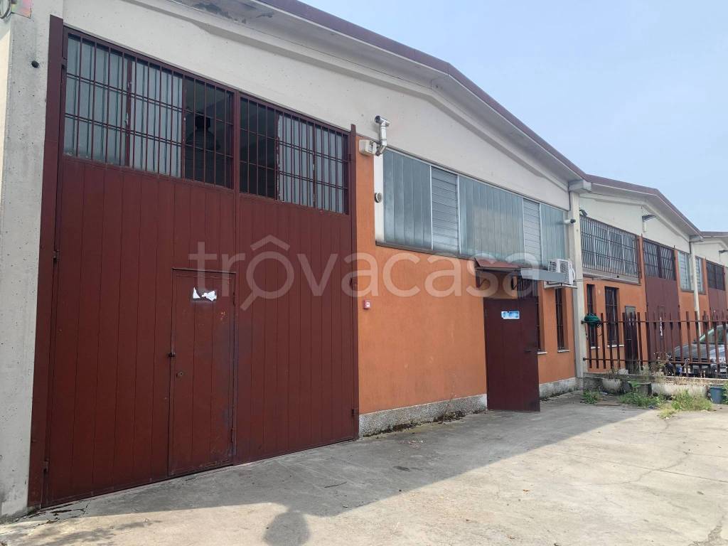 immagine annuncio 4 di 15