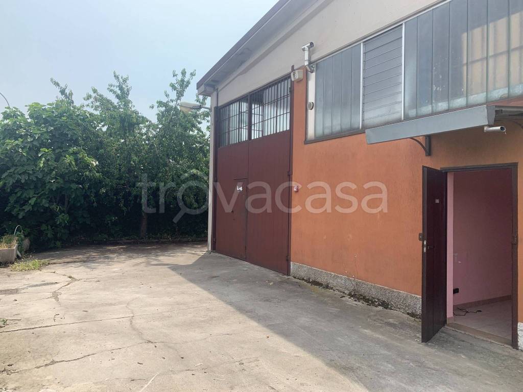 immagine annuncio 5 di 15