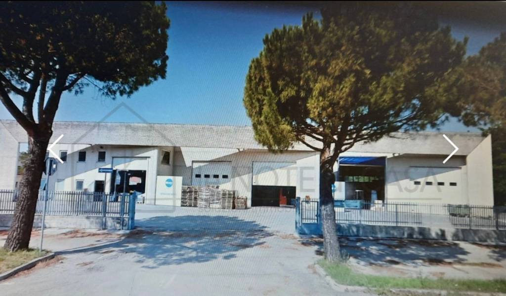 immagine annuncio 12 di 14
