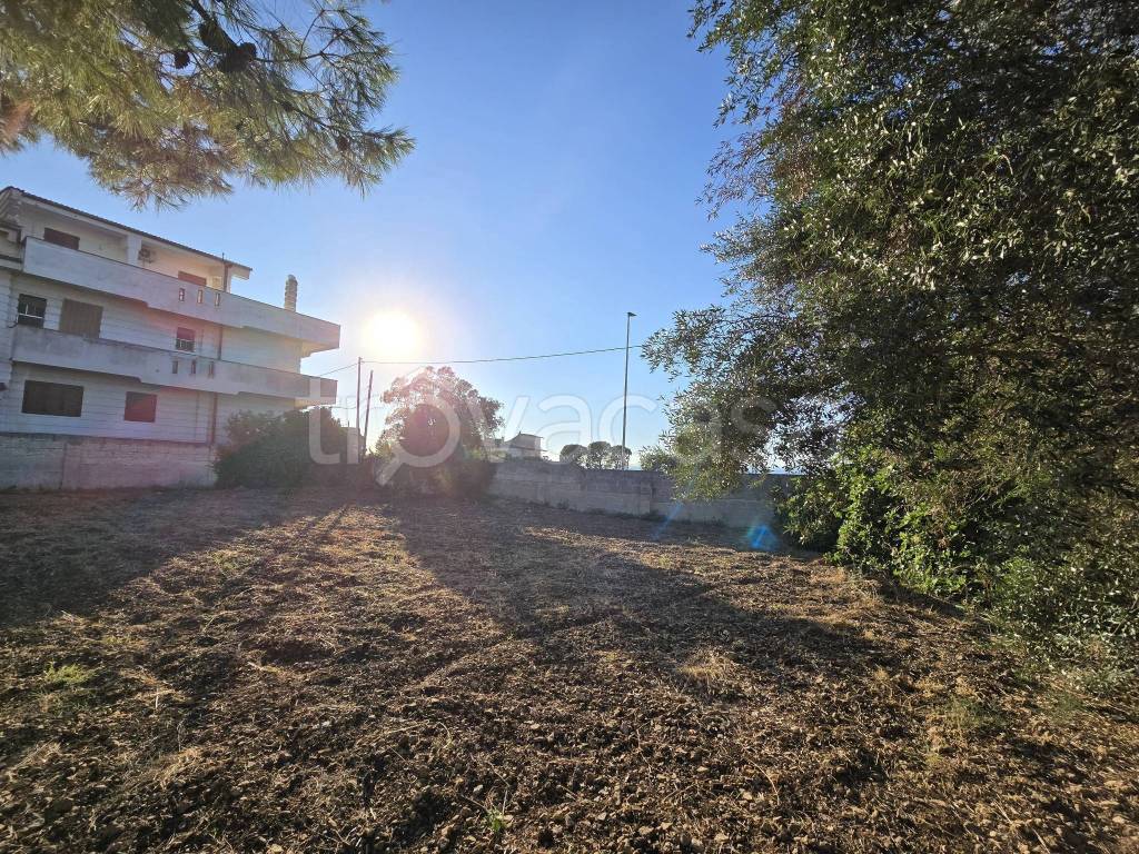 immagine annuncio 3 di 9