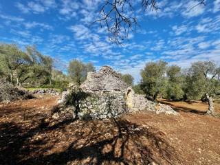 Colonica in vendita a ceglie messapica contrada semeraro