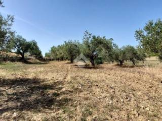 Terreno residenziale in vendita a crotone località margherita