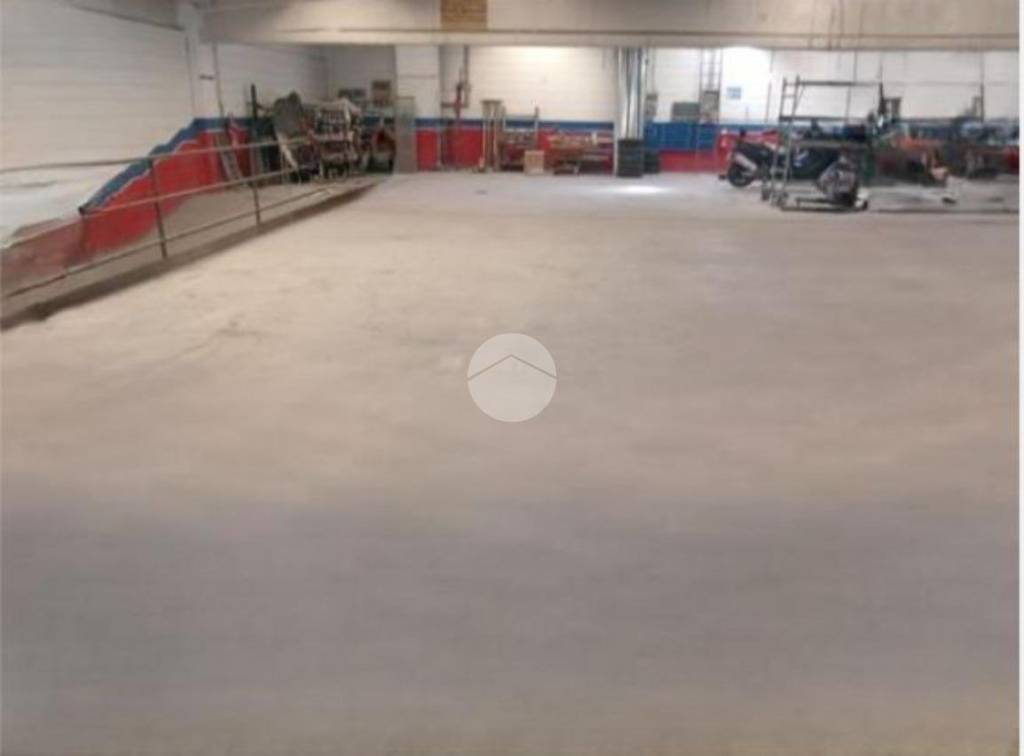 immagine annuncio 4 di 8