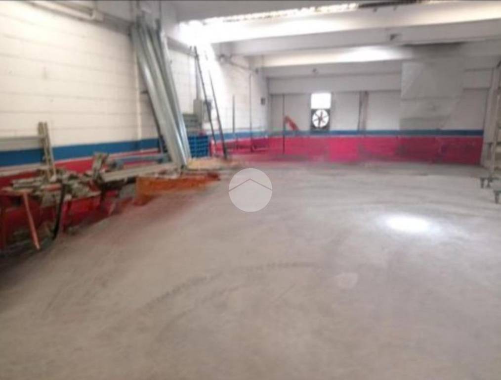 immagine annuncio 5 di 8