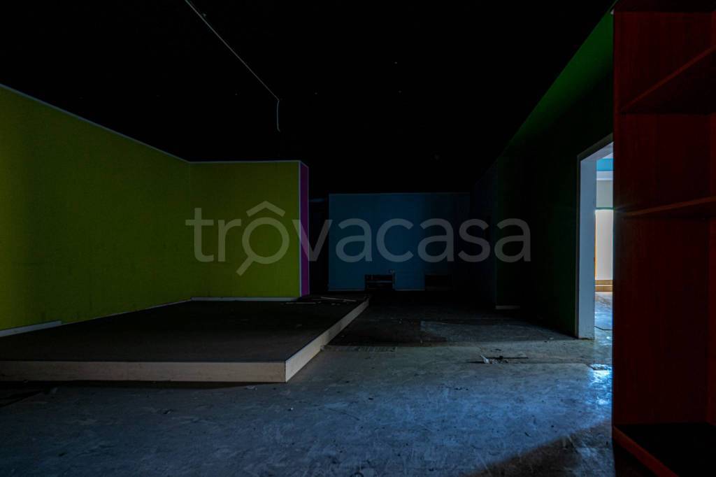 immagine annuncio 5 di 14